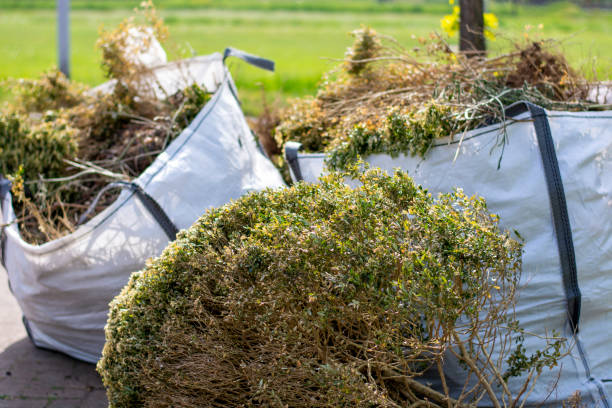 Best Full-Service Junk Removal  in Chadbourn, NC